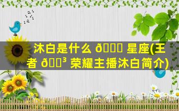 沐白是什么 🐋 星座(王者 🐳 荣耀主播沐白简介)